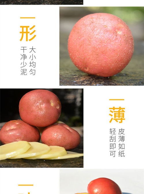 云南紅皮黃心洋芋 農(nóng)家自種的新鮮饋贈(zèng)
